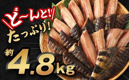 【訳あり規格外】  業務用 ほっけ干物  どーんと! 4.8kg 干物 ホッケ 縞ほっけ ほっけ