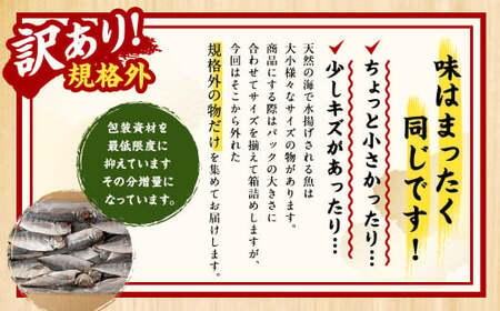 【2ヶ月定期便】【訳あり規格外】 業務用 あじ干物 1.9kg