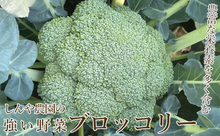 【令和8年産】しんや農園のつよい野菜「ブロッコリー6個 & カリフラワー4個」 旬の野菜 北海道産 北海道野菜 国産 国産野菜 グルメ 食材 栄養素 ビタミンC 新鮮 新鮮野菜【北海道上富良野町産】