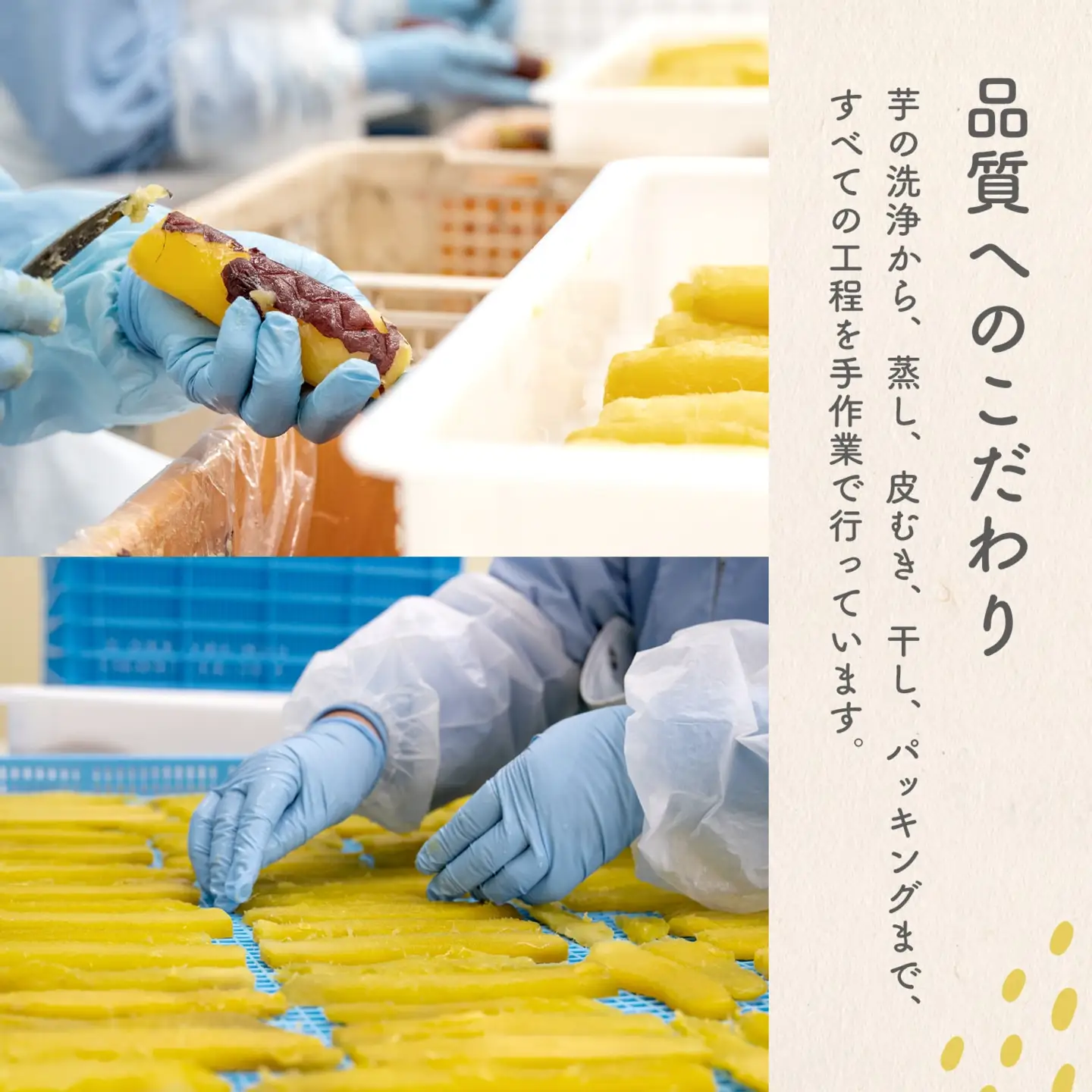 【2026年6月内発送】 紅はるか 干し芋 600g (300g×2袋) 茨城県産 K2486