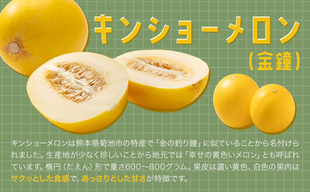キンショーメロン 4kg(6～9玉) メロン《2026年4月上旬-7月上旬頃出荷》熊本県 菊池市 果物 フルーツ 金鐘 ノーネットメロン 黄色いメロン 菊池市産 熊本県産 九州産 送料無料