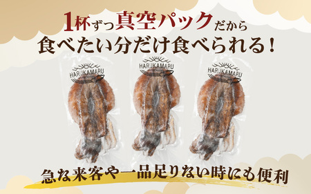 【先行予約】イカ お刺身で食べる 天然 アオリイカ 約1kg【2026年11月上旬以降順次発送予定】 [m36-b008]