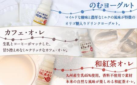 高千穂牧場ヨーグルト&ドリンクバラエティセット(プリン付き)《ご入金翌月の中旬～下旬の水曜日頃出荷》_MJ-1616_(都城市) 乳製品 ヨーグルト 苺ヨーグルト 季節のヨーグルト のむヨーグルト カフェオレ 和紅茶オレ カスタードプリン セット ヨーグルト 7種 濃厚 ヨーグルト 7種 濃厚 和紅茶オレ 