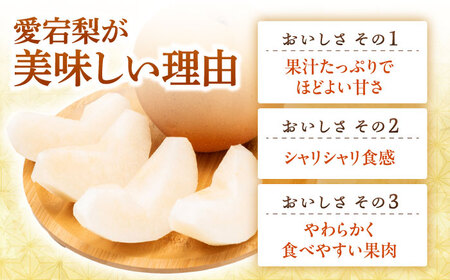 【12月上旬発送開始】愛宕梨 約3kg (3玉-5玉) / 梨 なし ナシ フルーツ[AFAR025]