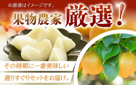 【8月上旬発送開始】 食べ頃品種を2種以上お届け! 梨 食べ比べセット 約5kg （5玉-18玉） / 梨 [AFAR027]