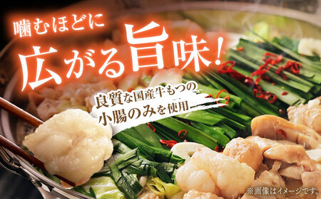 【ご家庭用】博多もつ鍋（味噌味）3人前 / もつ鍋 モツ ホルモン 福岡[AFAU016]