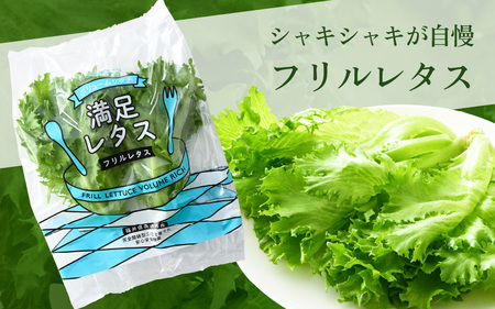 美浜の水で育った ピュアレタス 6個セット 低カリウムレタス&フリルレタス【栽培期間中 農薬不使用 野菜 生野菜 レタス 詰め合わせ グリーンリーフ サラダ サンドイッチ お弁当 水耕栽培 洗わず食べられる 時短 付け合わせ ダイエット ヘルシー】[m40-a004]