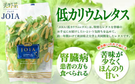 定期便 ≪2ヶ月連続お届け≫ 低カリウムレタス&フリルレタス　計6個セット 全2回 【福井県美浜町産】【野菜 生野菜 レタス サラダ サンドイッチ お弁当 水耕栽培 洗わず食べられる 時短 付け合わせ ダイエット ヘルシー】レタス フリルレタス 野菜 サラダ ダイエット ヘルシー [m40-a007]