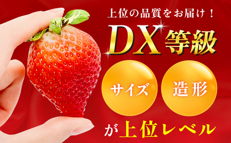 【★先行予約★ 2027年2月より発送】いちご（あまおう）DX等級 4ケース（270g×8P）  / いちご [AFAB005]