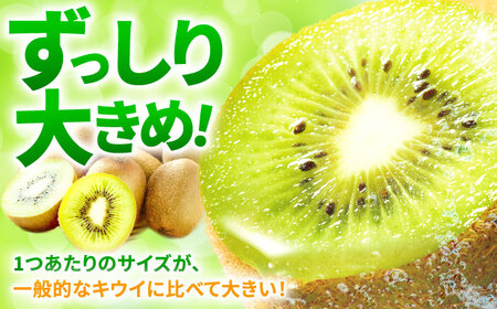 【★先行予約★ 2026年11月上旬より発送】キウイ 博多甘うぃ 約3.6kg / キウイ[AFAB013]