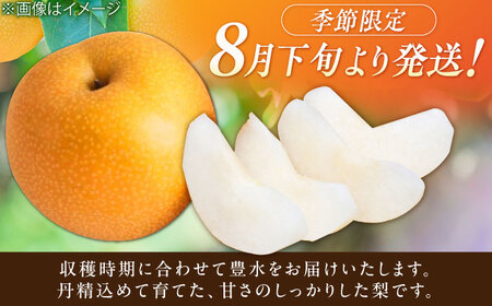 【★先行予約 8月下旬より発送】梨（豊水） 約5kg / ほうすい 梨[AFAB023]