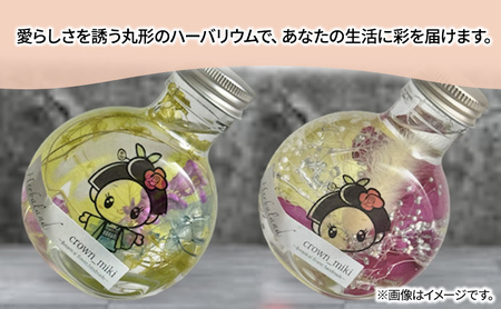 ハンドメイド 猫瓶 ハーバリウム2個セット おしまちゃん入り　ブリザーブドフラワー インテリア 雑貨 小物 手作業 世界に一つ ハンドメイド作品 かわいい 贈り物 置物 