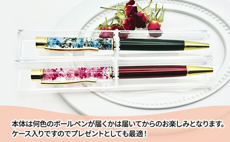 ハーバリウム ボールペン2本セット ケース入り！　ハンドメイド 雑貨 ギフト プレゼント 小物 手作業 世界に一つ ハンドメイド作品 かわいい 贈り物 置物 