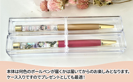 おしまちゃん入りハーバリウム ボールペン2本セット ケース入り！　ハンドメイド 雑貨 ギフト プレゼント 小物 手作業 世界に一つ ハンドメイド作品 かわいい 贈り物 文房具 