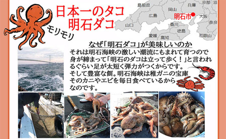 明石だこのゆでだこ 切り身100gと明石蛸のたこ飯の素1個 魚貝類 加工品 惣菜 炊き込みご飯の素 海の幸 海産物 急速冷凍 小分け 旨み たこ焼き つまみ 