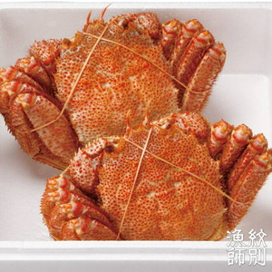 35-45 【北海道産】海明け毛がに姿 2尾計約800g【期間限定5月18日まで受付予定】(冷蔵便)