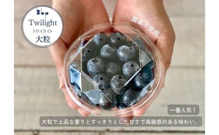 【先行予約】フレッシュブルーベリー（トワイライト大粒　100g×4） 果物 フルーツ 国産フルーツ 朝摘みブルーベリー 上品な香り 国産ブルーベリー 