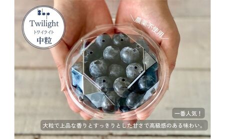 【先行予約】フレッシュブルーベリー　(トワイライト中粒100g×4） 果物 フルーツ 国産フルーツ 朝摘みブルーベリー 上品な香り 国産ブルーベリー 