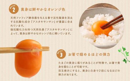 【食べチョクアワード2025 畜産部門 1位の日本一のたまご】単なる平飼いではない究極の卵『わたしたちのぷらいどたまご』3パック（30個）セット