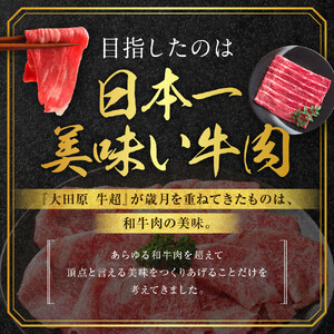 大田原牛 極上 すき焼き・しゃぶしゃぶ用切り落とし肉（500g）| ブランド牛 和牛 牛肉  切り落とし 高級 すき焼き しゃぶしゃぶ 和牛和牛和牛和牛