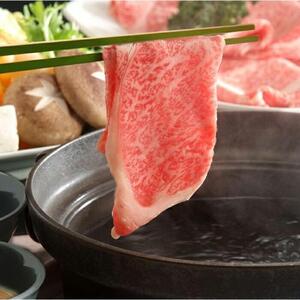 大田原牛 極上 霜降り 部位のすき焼き・しゃぶしゃぶ用スライス（500g）| ブランド牛 和牛 牛肉  高級 すき焼き しゃぶしゃぶ 和牛和牛和牛和牛　