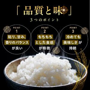 地元産 両郷米 10Kg ×1袋 ｜  お米 コシヒカリ こしひかり 栃木県 大田原市