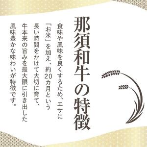 那須和牛　カタ（しゃぶしゃぶ・すき焼き用）500ｇ（２～３人前）