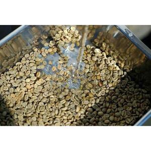 wabisuke自家水洗焙煎珈琲（粉） 生産国別×３