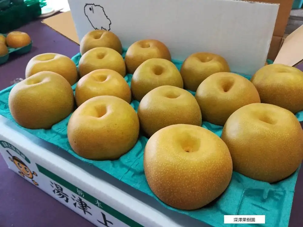 深澤果樹園さんの梨ギフト［あきづき］2.5kg≪8月中旬～10月頃発送≫
