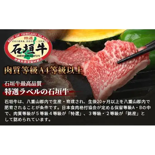【訳あり】 石垣牛 焼肉用　(不揃い)　500g 