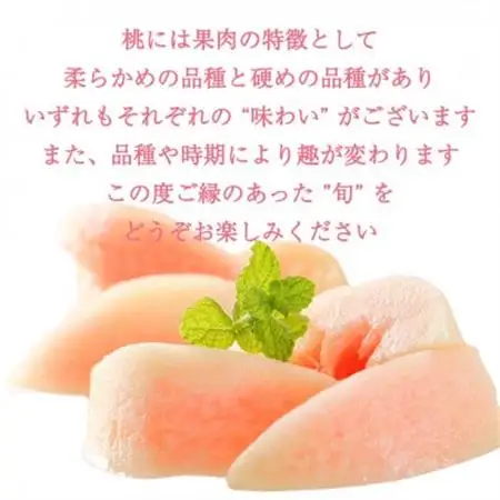 【2026年発送】柔らかめの品種の桃・2K(5~6個)「龍の木の実 望月のもも」【配送不可地域：離島・沖縄県】【1489722】