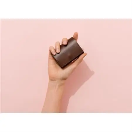 colmのコンパクト財布 ブラウン「カードが見やすく取り出しやすい小さな財布」_装飾品・工芸品 財布 服飾小物 _【1404340】