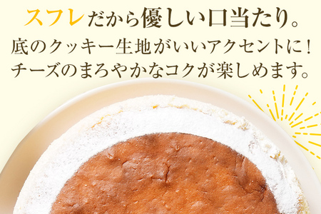 九州チーズケーキ 550g 1ホール(約18cm) Rothenburg スフレチーズケーキ 九州限定のチーズ フランス産発酵乳 クッキー ふわふわ しっとり 爽やか おやつ デザート ティータイム スイーツ ケーキ