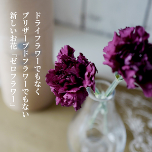 SL0310　【母の日2026】 フリーズドライフラワー 「水のいらないカーネーションギフト ニコニコ」