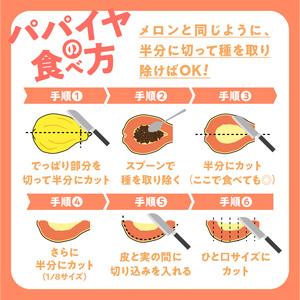 【 先行受付 】沖永良部島 の 甘くて美味しい フルーツパパイヤ 1kg（ 2～3玉 ） W051-009u 果物