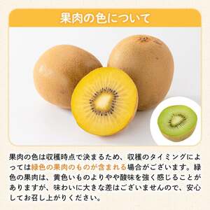 ＜先行予約！2026年10月中旬以降順次発送予定＞《贈答用・大玉厳選》 香川県産 さぬきゴールドキウイ(約1.4kg・化粧箱) 国産 果物 フルーツ キウイフルーツ 【man064】【Aglio nero】