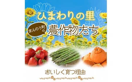 ＜先行予約！2026年6月上旬以降順次発送予定＞ バイカラコーン (約4kg) トウモロコシ とうもろこし 人気 【man070】【Aglio nero】