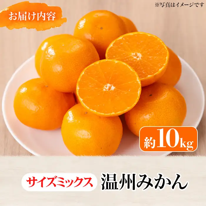 ＜先行予約！2026年12月上旬以降順次発送予定＞香川県産 温州みかん(約10kg/サイズミックス) 国産 果物 フルーツ ミカン 柑橘 新鮮 【man119-B】【Aglio nero】