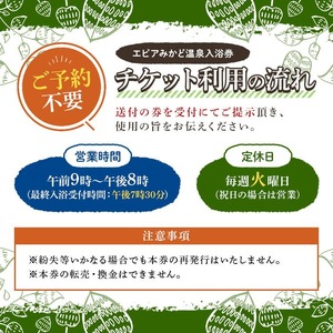 エピアみかど温泉入浴券(10枚) 香川県 利用券 チケット 体験 美肌の湯 【man165】【ことなみ振興公社】