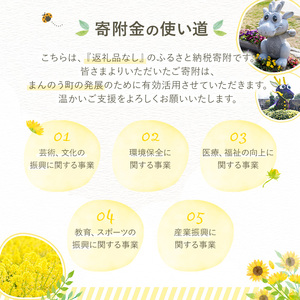＜返礼品なし＞ 香川県まんのう町への寄附 (50,000円) 香川県 まんのう町 応援 寄附 返礼品なし【man903】【まんのう町】