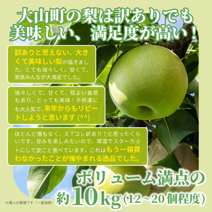 DS-25　訳あり梨（なつひめ・二十世紀） 10kg