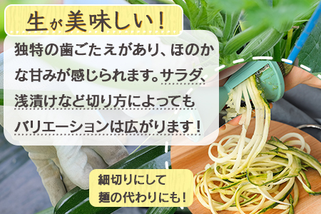 【11月上旬～5月下旬発送】中神農園の ズッキーニ 約2kg (10～12本) 野菜 夏 やさい 煮る 炒める 生食 ミネラル ビタミンC ずっきーに 新鮮 国産 九州 熊本県 多良木町 071-0506