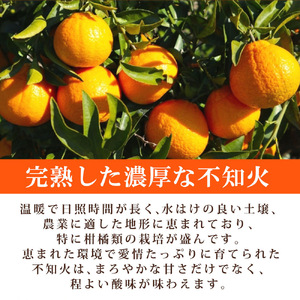【先行予約】紀州有田産不知火(しらぬひ) 2.5kg　※2027年2月中旬頃〜3月中旬頃に順次発送予定（お届け日指定不可）/みかん 不知火 和歌山 フルーツ 有田【uot794】