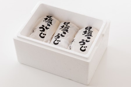 能登 塩こうじ 3本 セット 【 塩糀 】