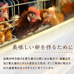 三ツ星レストランや一流料理人が愛するブランド卵『奥久慈卵』 赤 60個 たまご タマゴ 【卵】【ho1315】