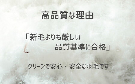 ザ・羽毛ふとん/立体キルト 布団 睡眠 寝具 ふとん【251-000374-20】【14-6】
