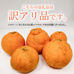 S153-002_天草産 訳あり 不知火 約5kg