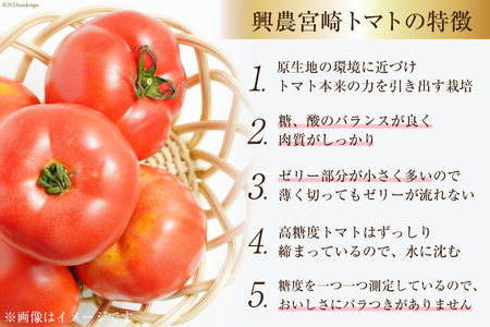 ゼリー 日向の雫 たっぷりトマトのプレミアムゼリー 130g×12個 [興農宮崎 宮崎県 日向市 452060901]