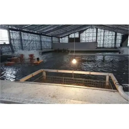 天然 に近づけた究極の養殖 鰻「坂東太郎 使用」うなぎ 白焼 大サイズ 130g前後×3尾【配送不可地域：離島】【1488902】