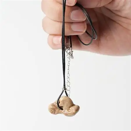 【思いやり型返礼品】イルカの耳骨ネックレス《限定10個》【1486472】